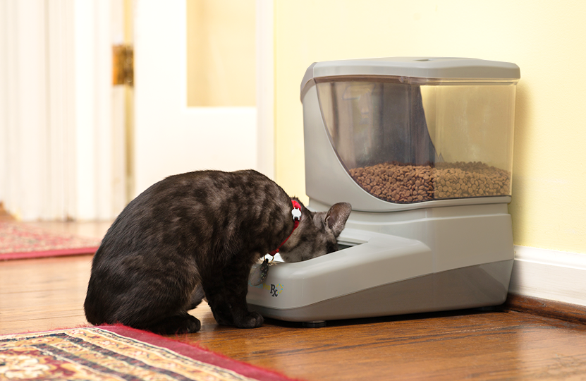 A Prescribed Solution for Pet Obesity in Multi-Pet Homes Is Coming to the NAVC Conference 2017